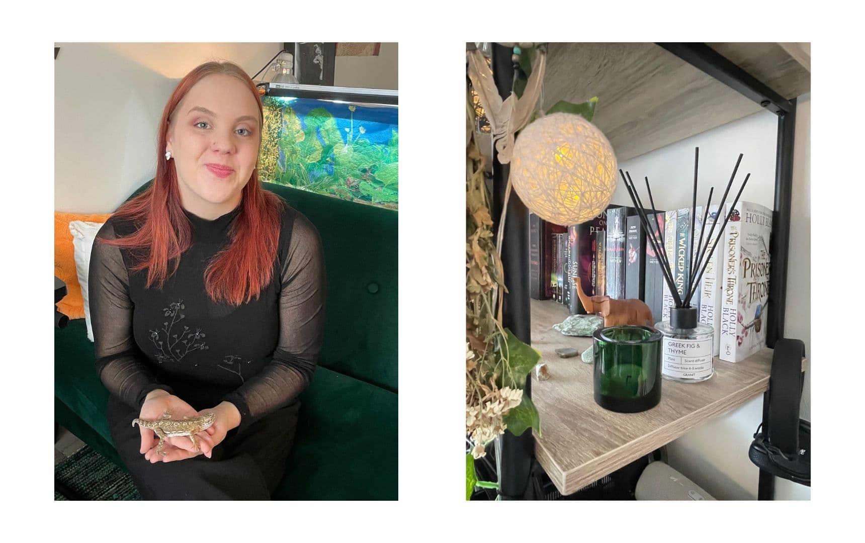 Saana, Sirius ja kodin yksityiskohtia