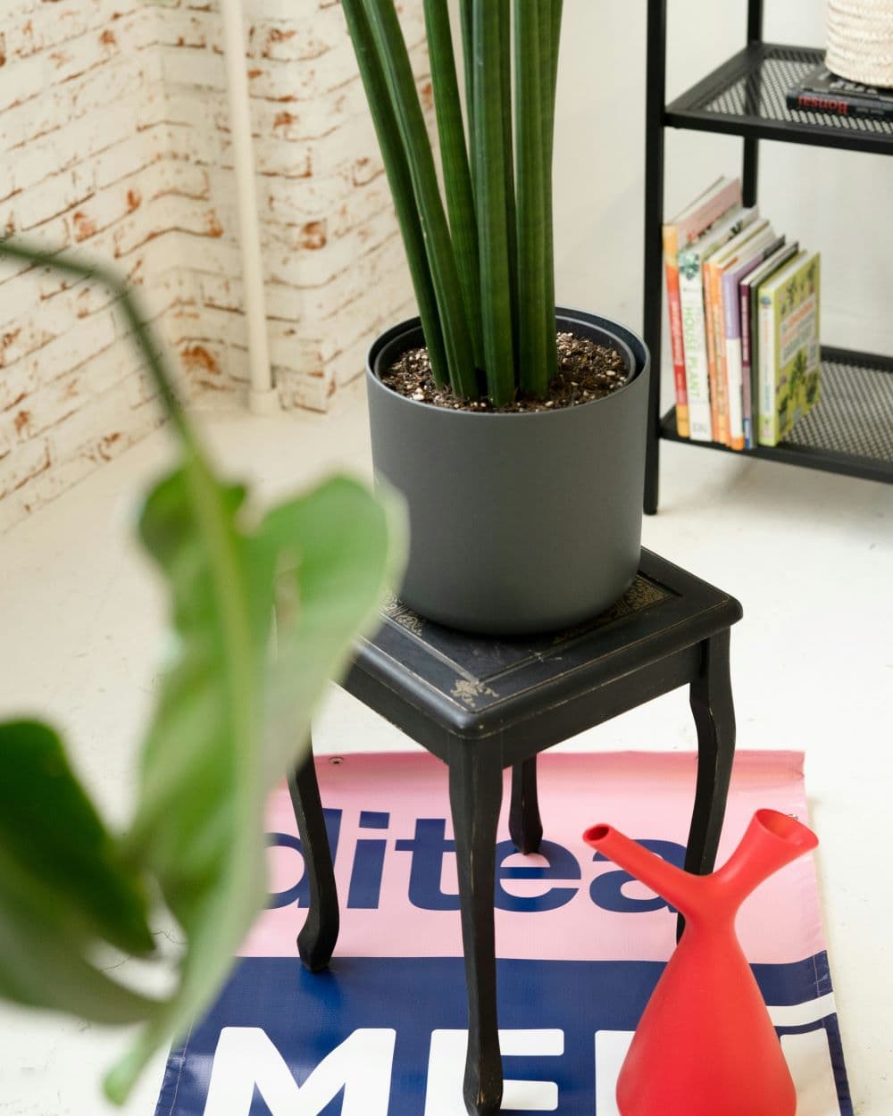 viherkasvien kastelu