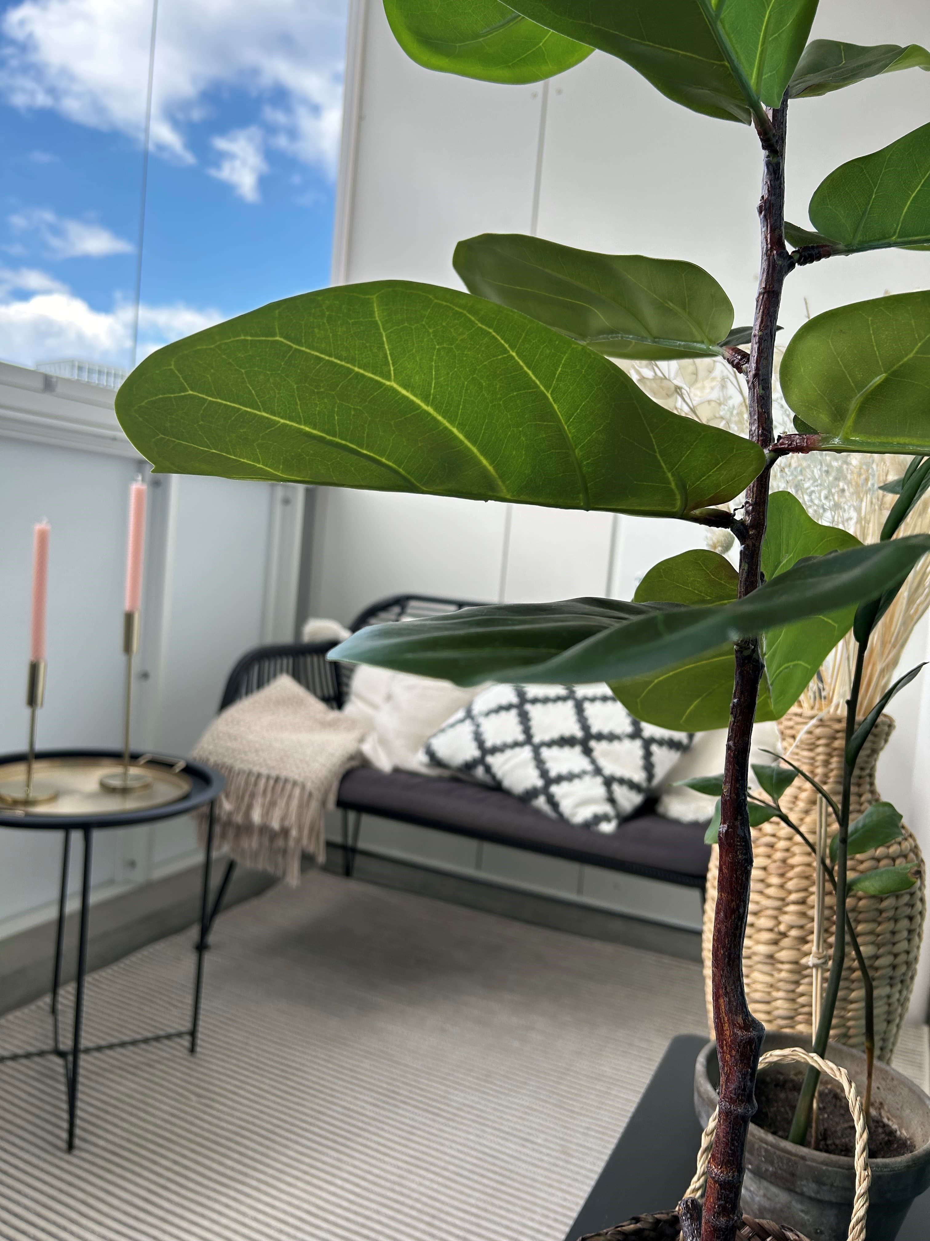 Parveke täynnä kivoja yksityiskohtia!