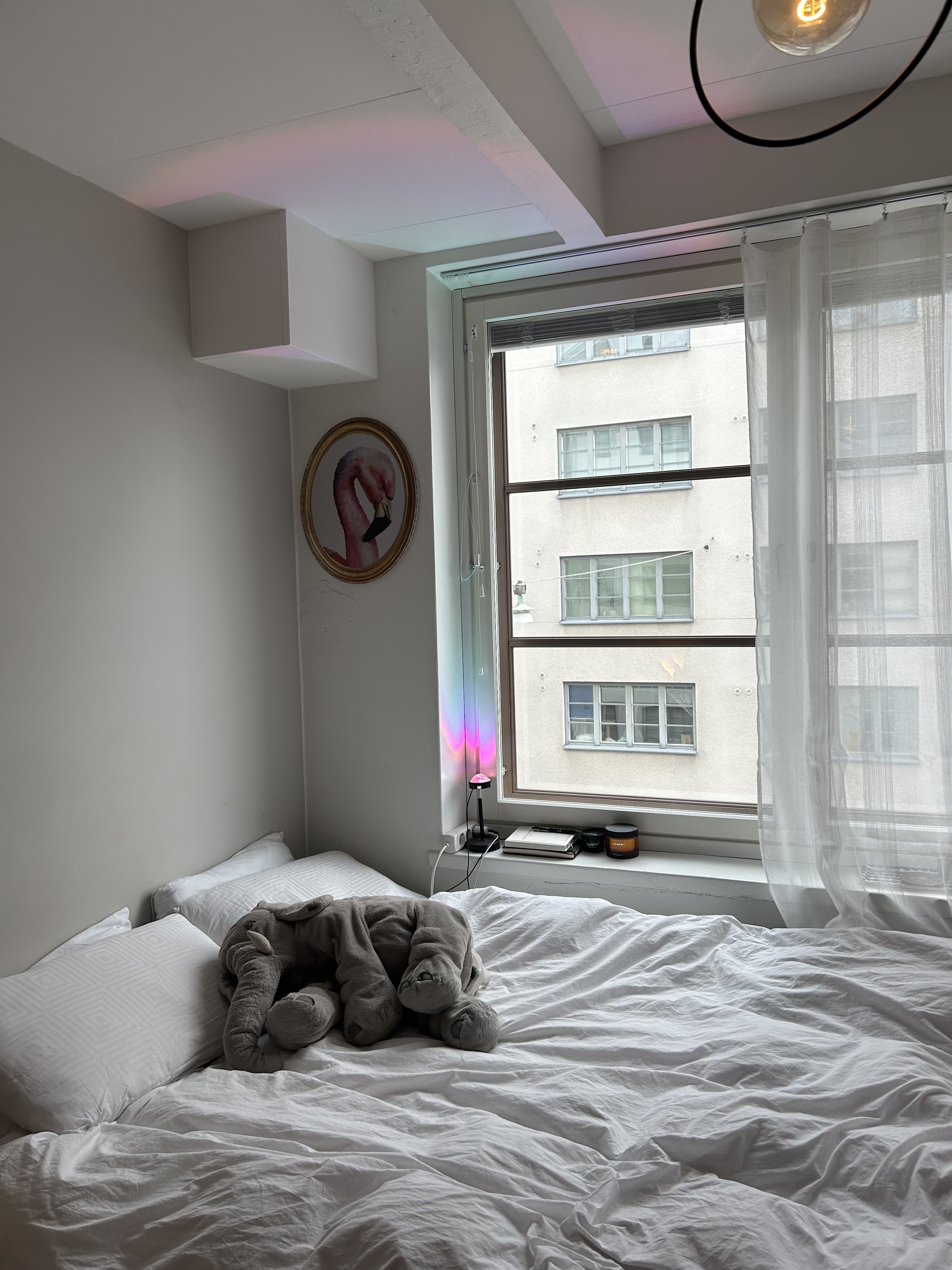 Sofian sänky on asetettu tunnelmallisesti ikkunan viereen.