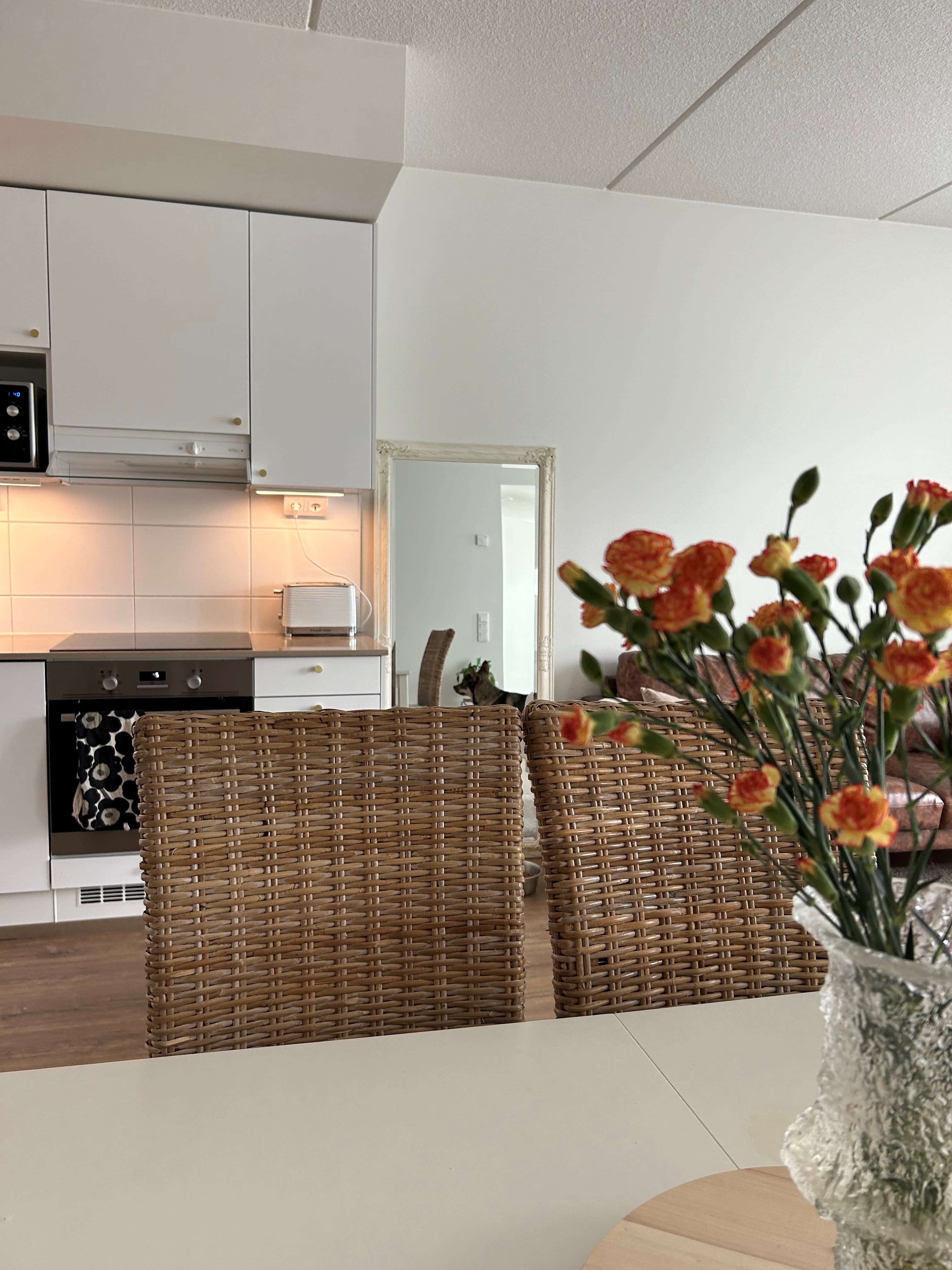 Bongaa Dory kuvasta.