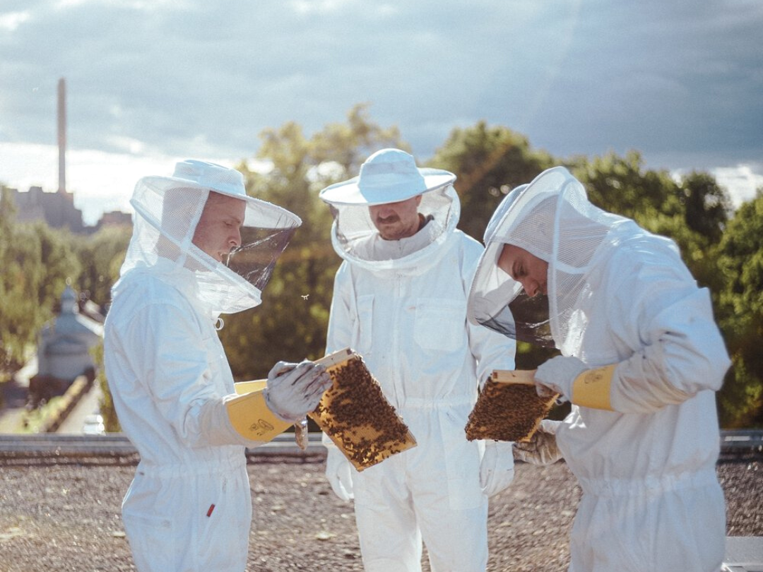 Juli Living Hives