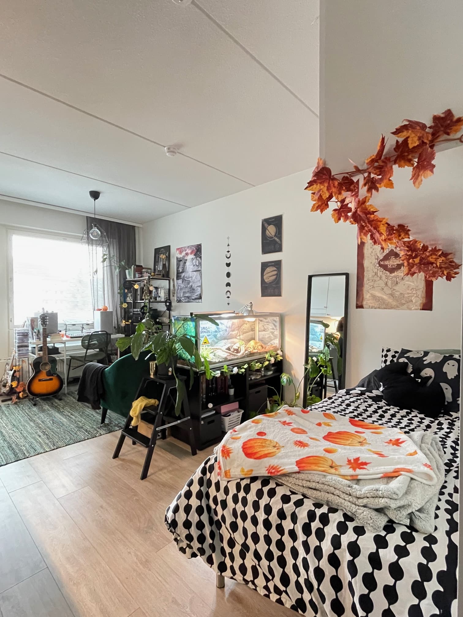 Saanan koti yleisnäkymä